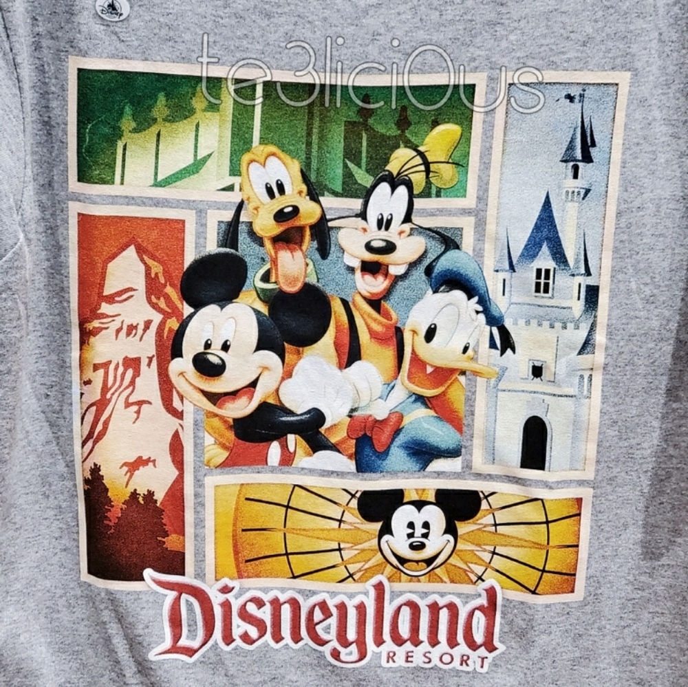 DISNEYLAND MICKEY AND FRIENDS PARK ICONS T-SHIRT - Picture 2 of 3